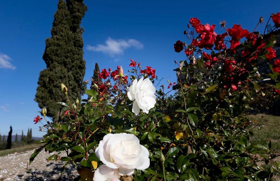 Agriturismo Il Ghiaccio Suvereto Luaran gambar